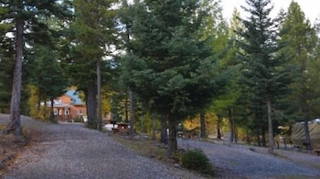timber wolf resort and jeep rentals