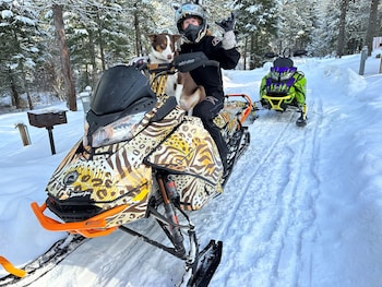 timber wolf resort and jeep rentals