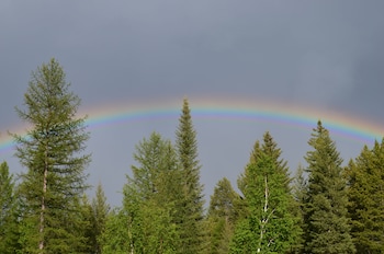 timber wolf resort and jeep rentals