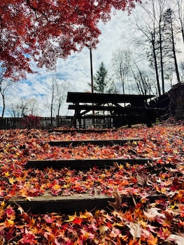 Parkview Lodge & Cabins,,2 star