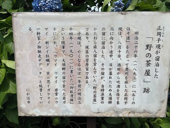 tensen inn on the bay