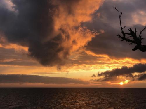 ocean springs