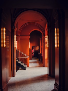 vienna