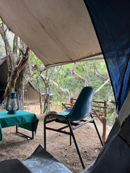 Wild Paradise Camp,,3 star