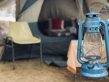 wild paradise camp
