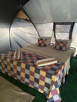 wild paradise camp