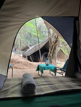 wild paradise camp