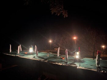wild paradise camp