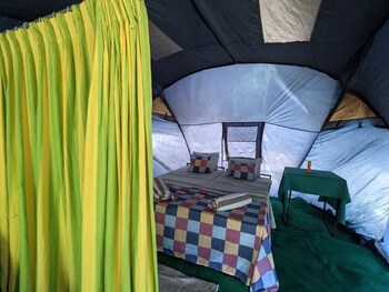 wild paradise camp