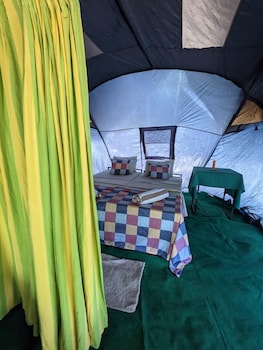 wild paradise camp