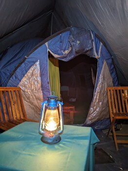 wild paradise camp