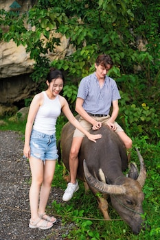 cometa villas ninh binh