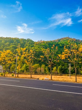 wangxian valley morning wind bandb wangxian valley scenic area