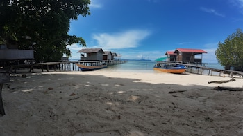 arborek dive homestay