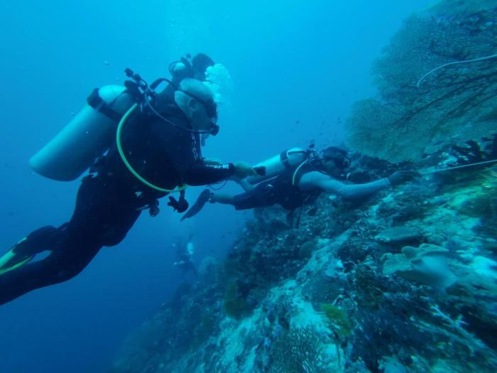 arborek dive homestay