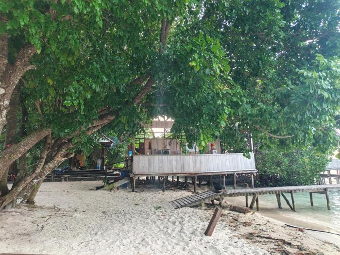 arborek dive homestay
