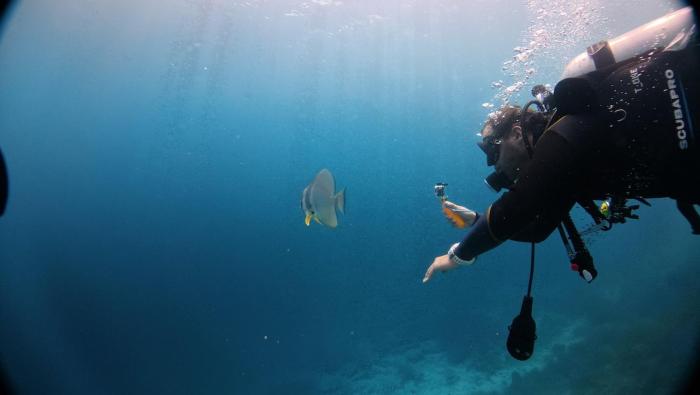 arborek dive homestay