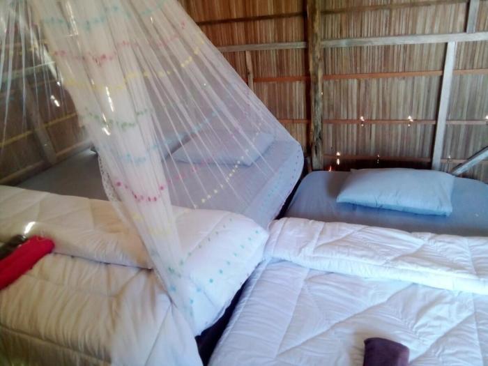 arborek dive homestay