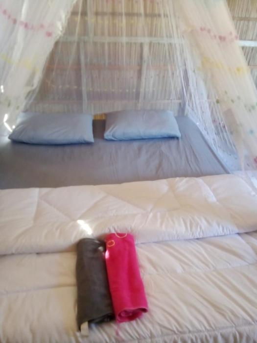 arborek dive homestay