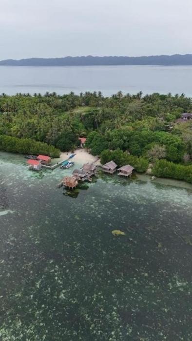arborek dive homestay