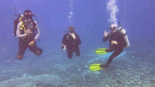 arborek dive homestay