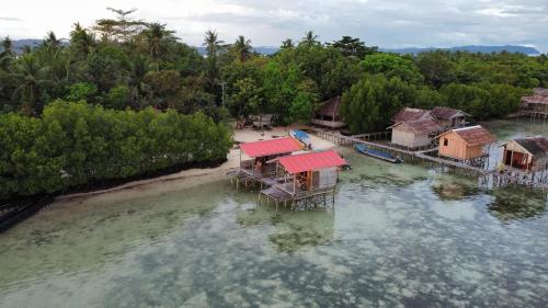 arborek dive homestay