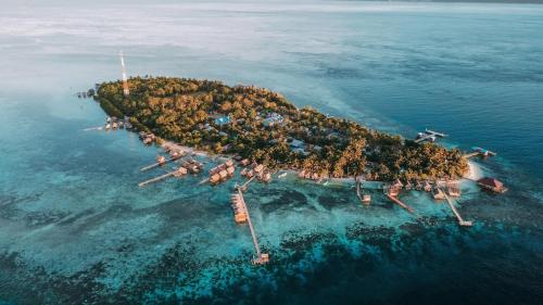 arborek dive homestay
