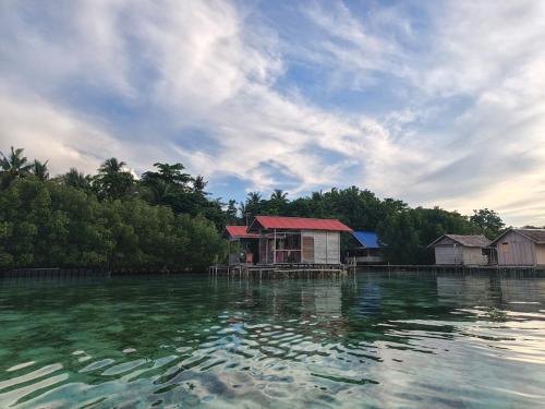 arborek dive homestay