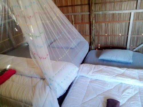 arborek dive homestay