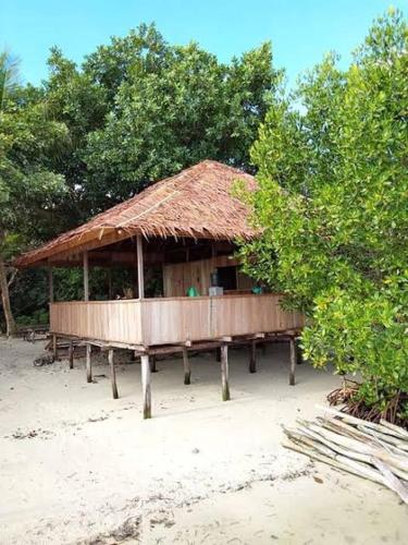 arborek dive homestay