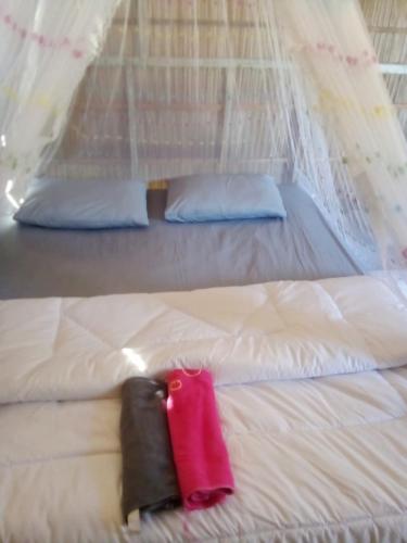 arborek dive homestay