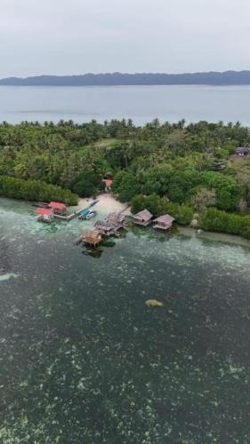 arborek dive homestay