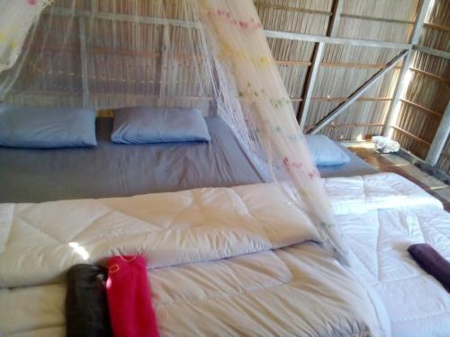 arborek dive homestay