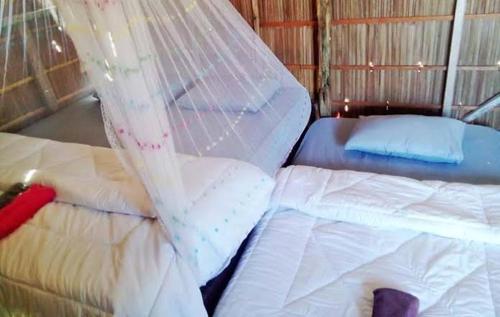 arborek dive homestay