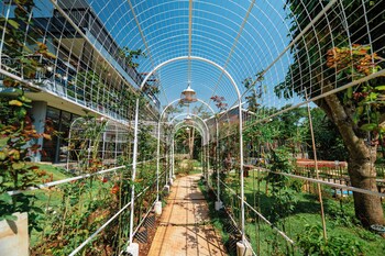 hoang thien homestay and sport