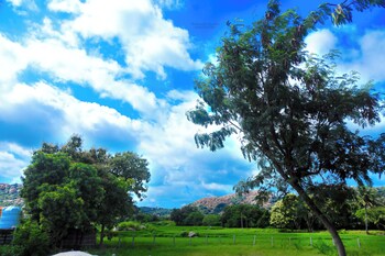 shanthi dhama resort