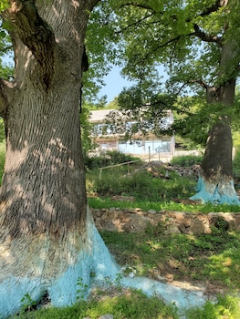 the whispering oaks retreat