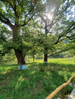the whispering oaks retreat