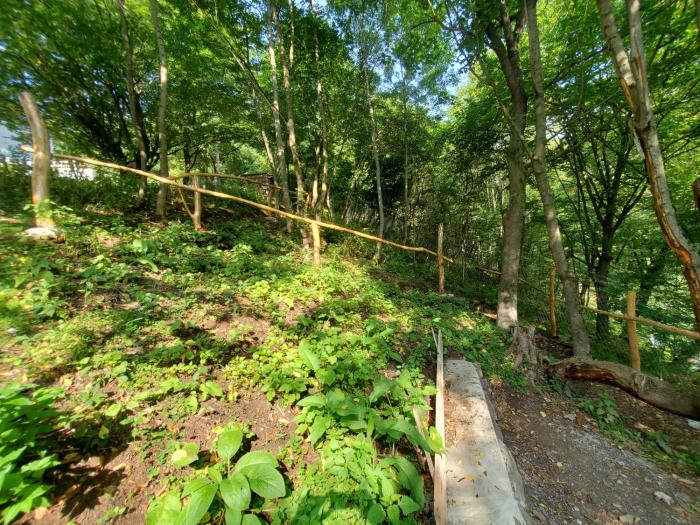 the whispering oaks retreat