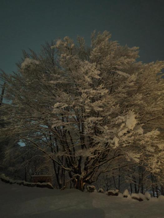 the whispering oaks retreat