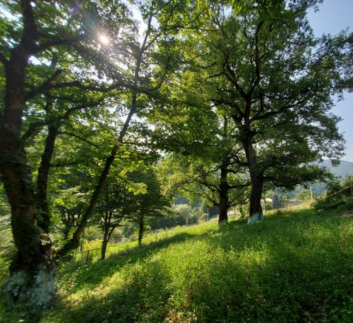 vahagnadzor