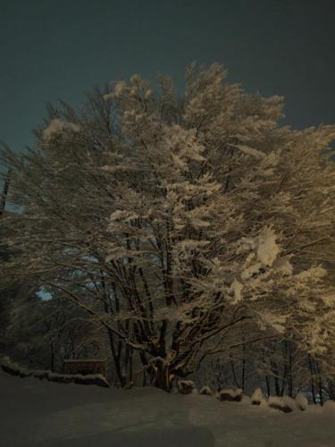 the whispering oaks retreat