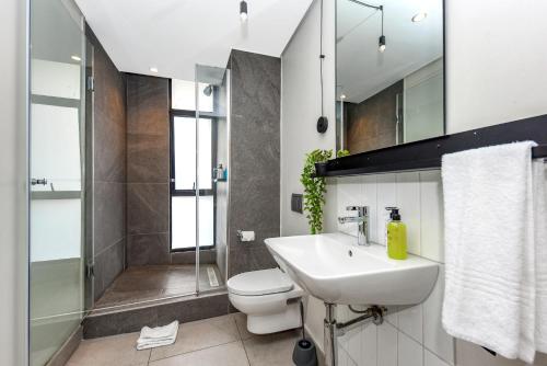 the lineal luxury apartments airscape