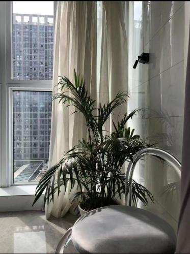 aisen apartment huainan wanda plaza