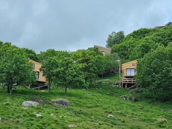 backyard camps