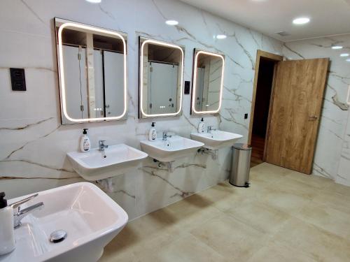 velvet hostel business