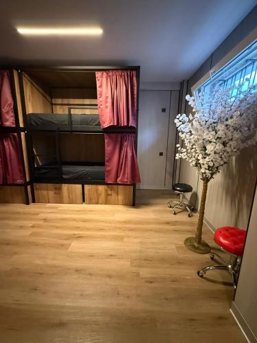 velvet hostel business