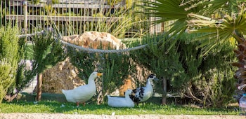 Hotel Rural El Cortijo,Malaga Province>>Arriate,3 star