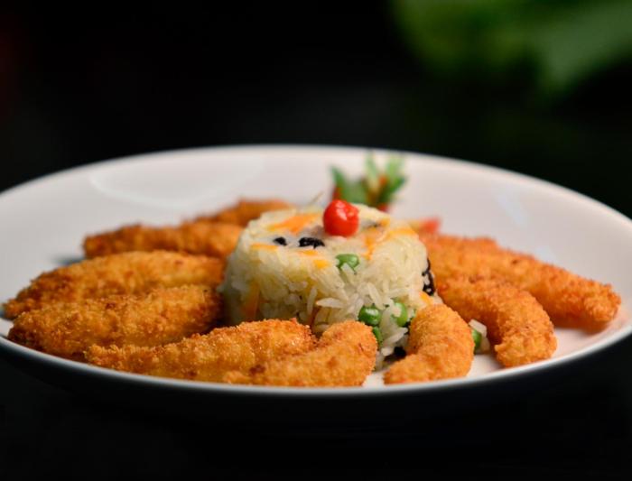 hotel girassol plaza