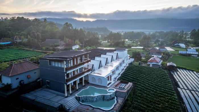 the hanz villa kintamani